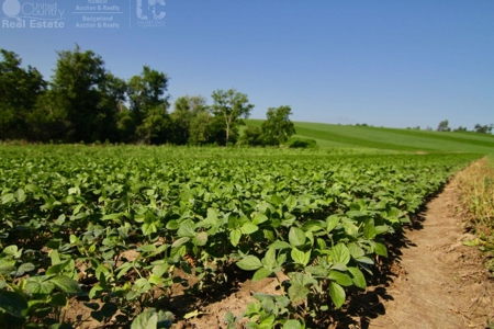Spectacular Hunting & Farmland in Southwest Wisconsin - image 19