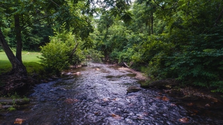 Woolwine VA B&B or Family Retreat for Sale - image 38