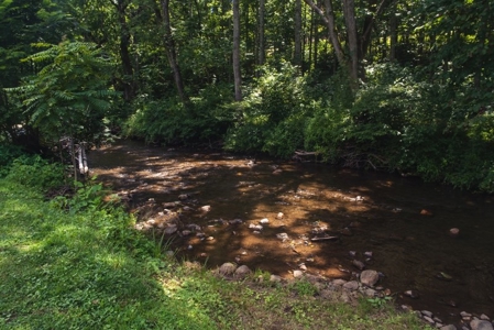 Woolwine VA B&B or Family Retreat for Sale - image 30