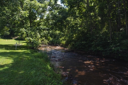 Woolwine VA B&B or Family Retreat for Sale - image 33