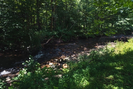 Woolwine VA B&B or Family Retreat for Sale - image 27