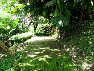 Amazing Coastal Home with 50 mile view on Bay of Chiriqui - image 11