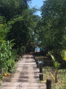 Amazing Coastal Home with 50 mile view on Bay of Chiriqui - image 1