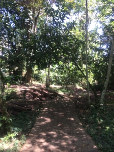 Amazing Coastal Home with 50 mile view on Bay of Chiriqui - image 2