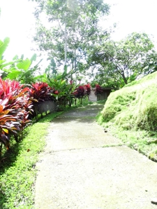 Amazing Coastal Home with 50 mile view on Bay of Chiriqui - image 17