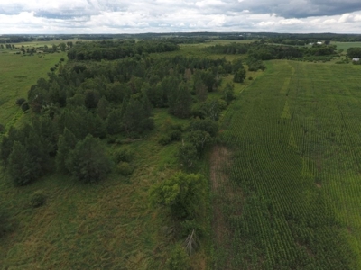 Columbia County Land for Sale Near Portage WI - image 11