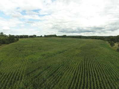 Columbia County Land for Sale Near Portage WI - image 7