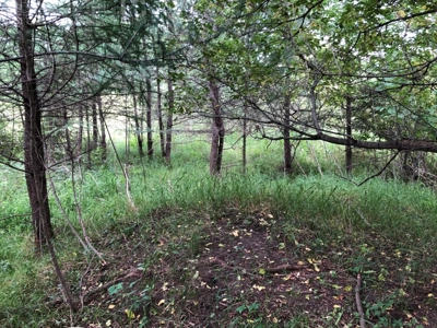 Columbia County Land for Sale Near Portage WI - image 15