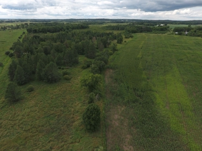 Columbia County Land for Sale Near Portage WI - image 9
