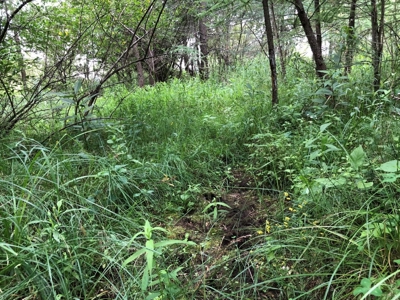 Columbia County Land for Sale Near Portage WI - image 17