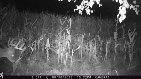 Columbia County Land for Sale Near Portage WI - image 24