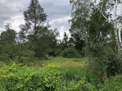 Columbia County Land for Sale Near Portage WI - image 18