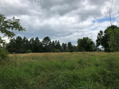 Columbia County Land for Sale Near Portage WI - image 14
