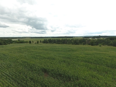 Columbia County Land for Sale Near Portage WI - image 8