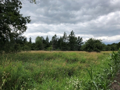 Columbia County Land for Sale Near Portage WI - image 20