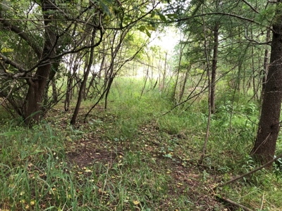 Columbia County Land for Sale Near Portage WI - image 16