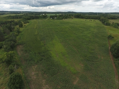Columbia County Land for Sale Near Portage WI - image 10