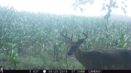 Columbia County Land for Sale Near Portage WI - image 22