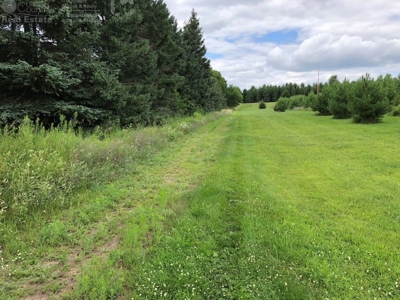 Columbia County Land for Sale Near Portage WI - image 21