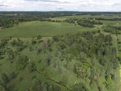 Columbia County Land for Sale Near Portage WI - image 2