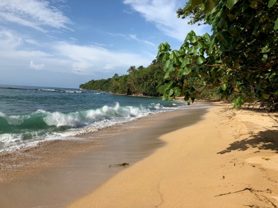 Coastal Beachfront Land in Bocas del Drago Panama - image 2