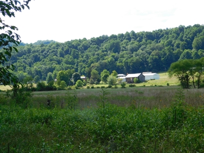 Historic Colonial Home on 189 Acres - image 14