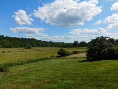 Historic Colonial Home on 189 Acres - image 4