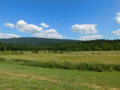 Historic Colonial Home on 189 Acres - image 5