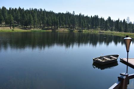 Eastern Oregon Forest Cabin with Private Lake - image 29