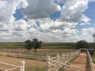 The Lucy Ranch in Torrance County New Mexico - image 7