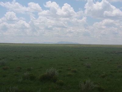 The Lucy Ranch in Torrance County New Mexico - image 15