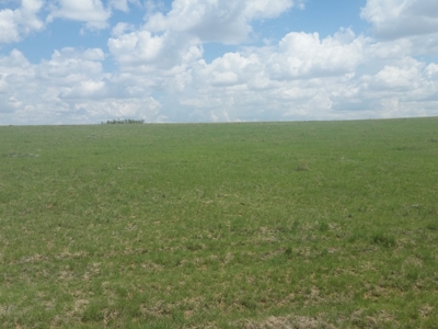The Lucy Ranch in Torrance County New Mexico - image 12