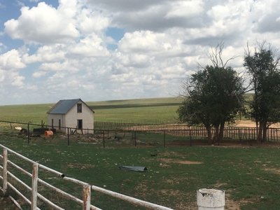 The Lucy Ranch in Torrance County New Mexico - image 8