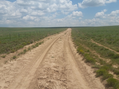 The Lucy Ranch in Torrance County New Mexico - image 14