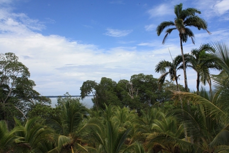 Great views,  Coastal Land Isla Popa Bocas del Toro Panama - image 19