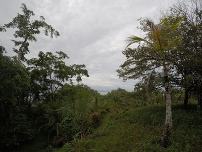 Great views,  Coastal Land Isla Popa Bocas del Toro Panama - image 14
