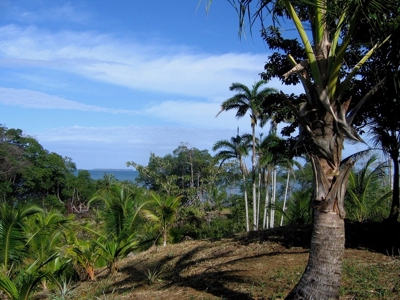 Great views,  Coastal Land Isla Popa Bocas del Toro Panama - image 15