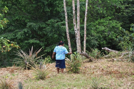 Great views,  Coastal Land Isla Popa Bocas del Toro Panama - image 25