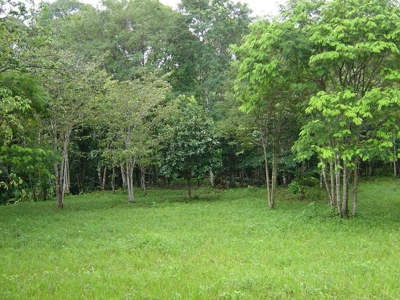 Great views,  Coastal Land Isla Popa Bocas del Toro Panama - image 10