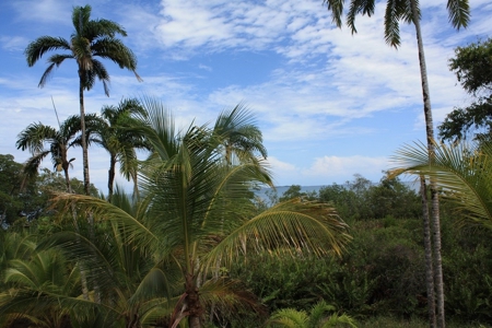 Great views,  Coastal Land Isla Popa Bocas del Toro Panama - image 20