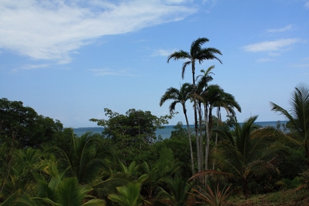 Great views,  Coastal Land Isla Popa Bocas del Toro Panama - image 29