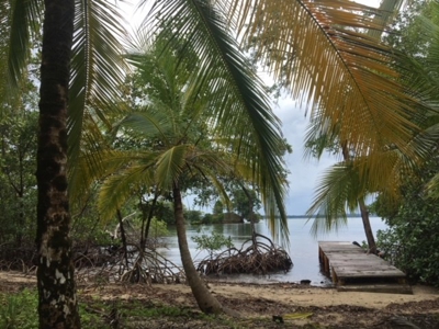 Great views,  Coastal Land Isla Popa Bocas del Toro Panama - image 1
