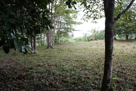 Great views,  Coastal Land Isla Popa Bocas del Toro Panama - image 22