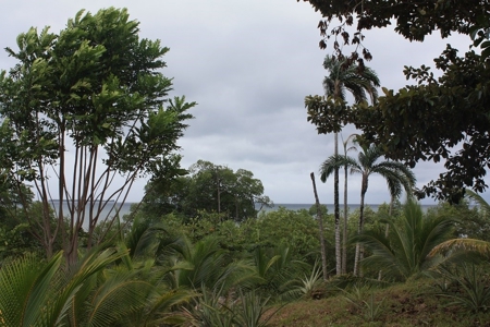 Great views,  Coastal Land Isla Popa Bocas del Toro Panama - image 27