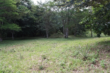 Great views,  Coastal Land Isla Popa Bocas del Toro Panama - image 18