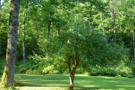 Off-Grid Camp For Sale in Molunkus, Maine - image 3