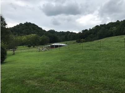 Pending Sale!!! - image 20