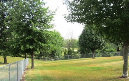 Acreage at Rathbun Lake Iowa - image 22