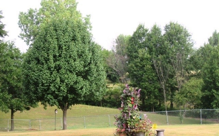 Acreage at Rathbun Lake Iowa - image 7