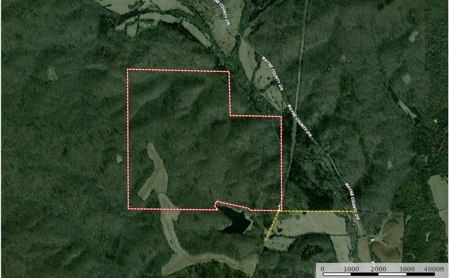 Wayne County Missouri Land For sale 317 acres - image 5